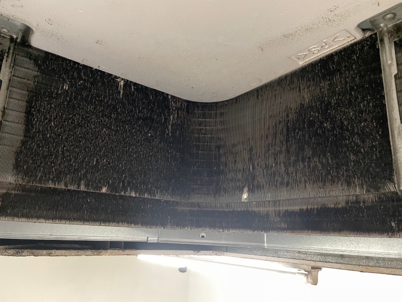 換気扇清掃 Before